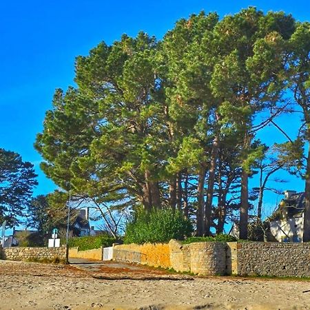 סנט-פייר-קיברון Cocon Neuf - 6 A 8 Pers 3 Chb Proche Plage, Port, Centre Ville מראה חיצוני תמונה