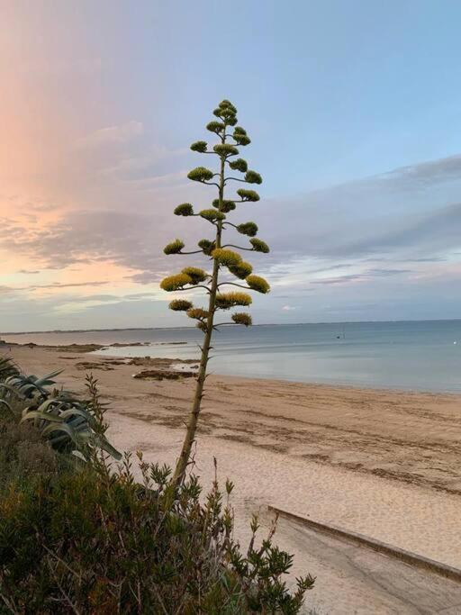 סנט-פייר-קיברון Cocon Neuf - 6 A 8 Pers 3 Chb Proche Plage, Port, Centre Ville מראה חיצוני תמונה