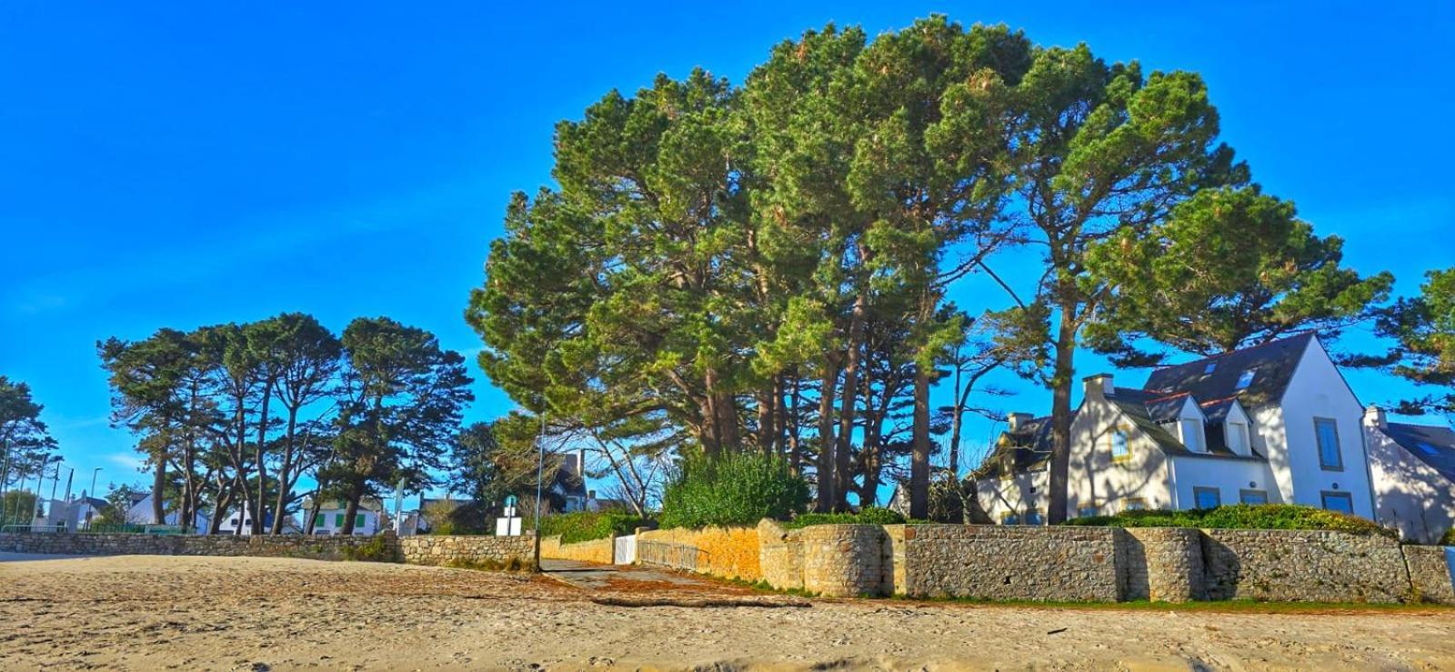 סנט-פייר-קיברון Cocon Neuf - 6 A 8 Pers 3 Chb Proche Plage, Port, Centre Ville מראה חיצוני תמונה